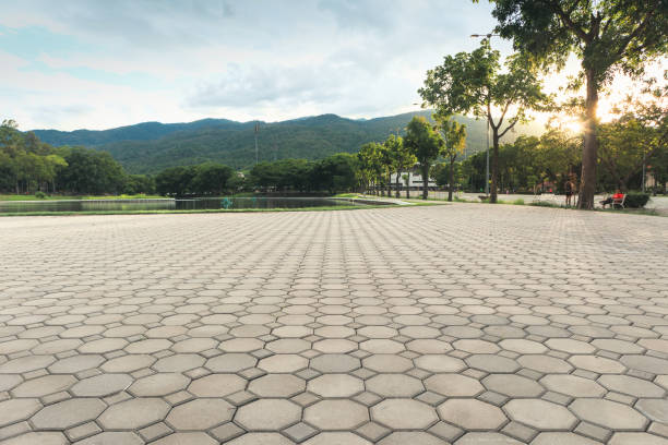Best Professional Driveway Pavers  in Cookeville, TN