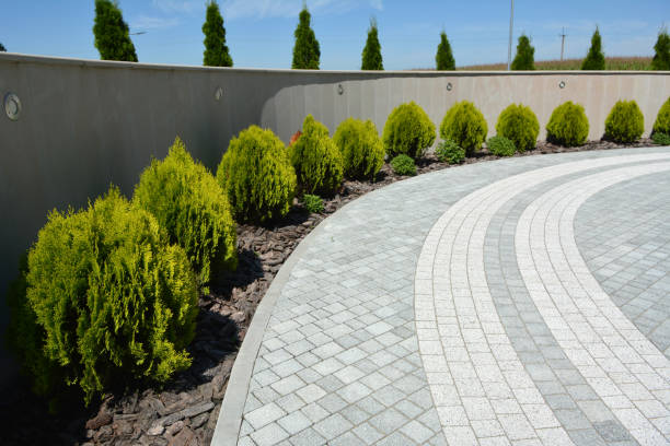 Best Residential Paver Driveway  in Cookeville, TN